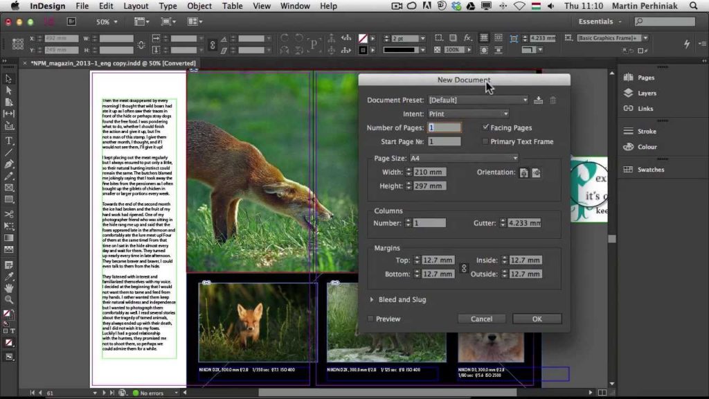 Tampilan Adobe InDesign