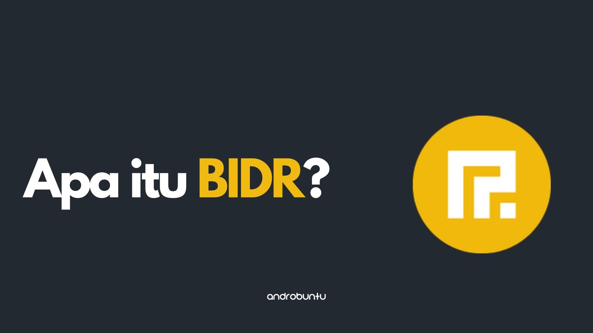 Pengertian BIDR by Androbuntu