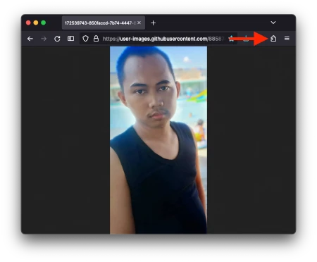 Cara Menghapus Ekstensi di Firefox 1