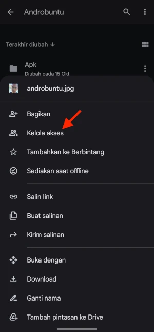 Cara Buat Link Google Drive 4